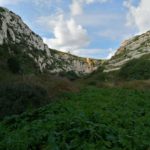 New Publication: Edward J. Clemmer, Julian of Norwich in Her Phenomenology: Her Spiritual Texts and Their Historical Contexts (Oxford: Peter Lang, 2023). 