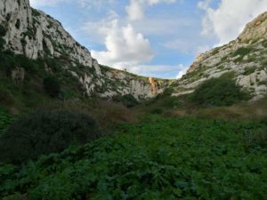 Psycho-Spirituality Talks